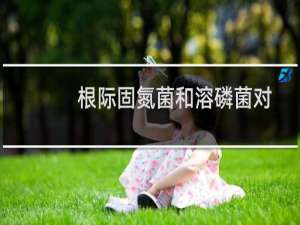 根际固氮菌和溶磷菌对水土保持禾草的联合促生效应(关于根际固氮菌和溶磷菌对水土保持禾草的联合促生效应的简介)