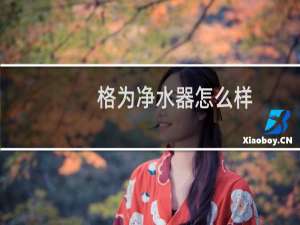 格为净水器怎么样