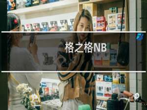 格之格NB-LC990C(关于格之格NB-LC990C的简介)