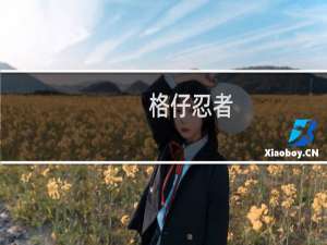 格仔忍者(关于格仔忍者的简介)