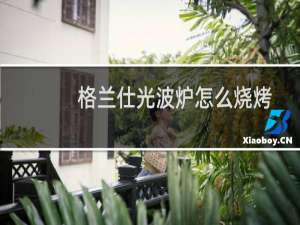 格兰仕光波炉怎么烧烤