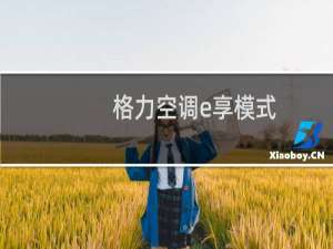 格力空调e享模式