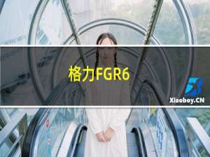 格力FGR6.5/C1(g)Na(关于格力FGR6.5/C1(g)Na的简介)