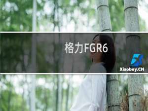 格力FGR6.5/C1(g)Na(关于格力FGR6.5/C1(g)Na的简介)