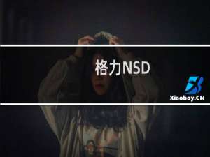 格力NSD-12(关于格力NSD-12的简介)