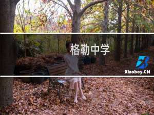 格勒中学(关于格勒中学的简介)