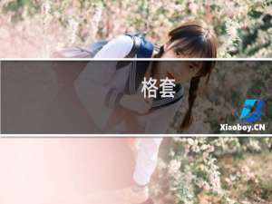 格套(关于格套的简介)