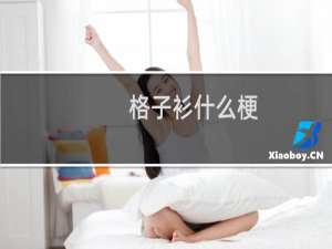 格子衫什么梗