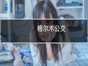 格尔木公交(关于格尔木公交的简介)