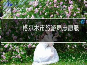 格尔木市旅游局志愿服务队(关于格尔木市旅游局志愿服务队的简介)