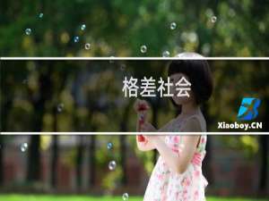 格差社会(关于格差社会的简介)