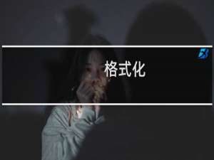 格式化(关于格式化的简介)