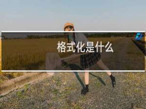 格式化是什么（格式化术语的意思）