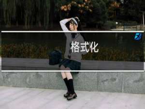 格式化