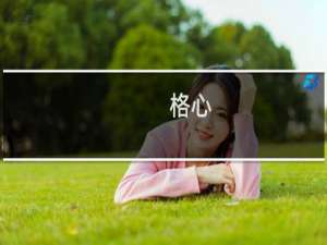 格心(关于格心的简介)