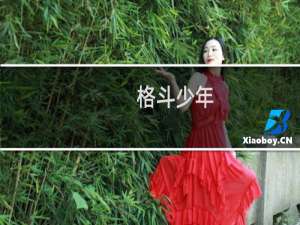 格斗少年(关于格斗少年的简介)