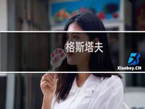 格斯塔夫-弗雷伊(关于格斯塔夫-弗雷伊的简介)
