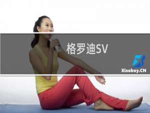 格罗迪SV(关于格罗迪SV的简介)