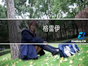格雷伊(关于格雷伊的简介)