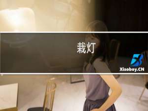 栽灯(关于栽灯的简介)