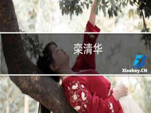 栾清华(关于栾清华的简介)