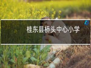 桂东县桥头中心小学(关于桂东县桥头中心小学的简介)