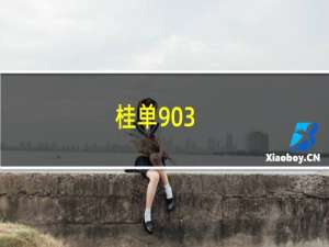 桂单903(关于桂单903的简介)