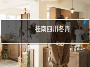 桂南四川冬青(关于桂南四川冬青的简介)