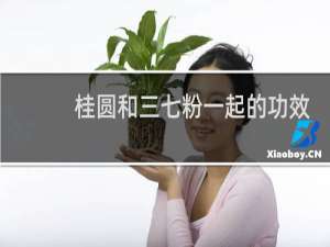 桂圆和三七粉一起的功效