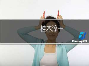 桂木淳一(关于桂木淳一的简介)