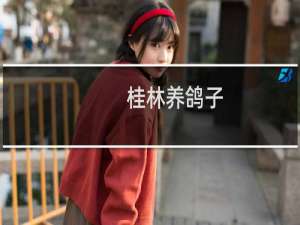 桂林养鸽子