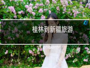 桂林到新疆旅游