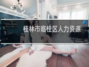 桂林市临桂区人力资源和社会保障局(关于桂林市临桂区人力资源和社会保障局的简介)