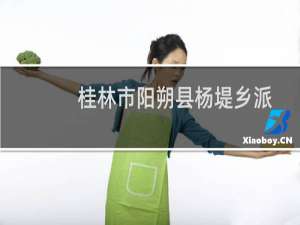 桂林市阳朔县杨堤乡派出所志愿服务队(关于桂林市阳朔县杨堤乡派出所志愿服务队的简介)