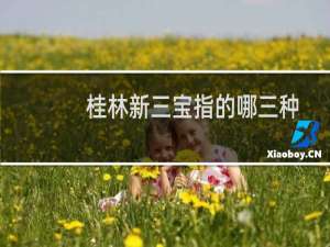 桂林新三宝指的哪三种（桂林新三宝是什么）