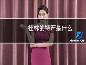桂林的特产是什么
