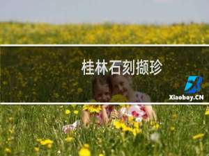 桂林石刻撷珍(关于桂林石刻撷珍的简介)