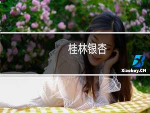 桂林银杏