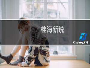 桂海新说(关于桂海新说的简介)