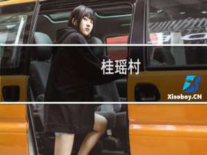 桂瑶村(关于桂瑶村的简介)