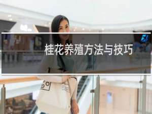 桂花养殖方法与技巧