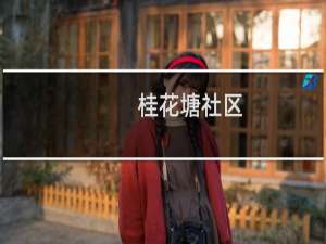 桂花塘社区(关于桂花塘社区的简介)