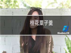 桂花粟子羹(关于桂花粟子羹的简介)