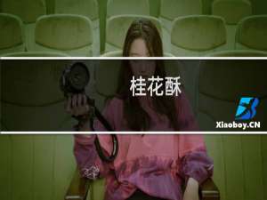 桂花酥(关于桂花酥的简介)