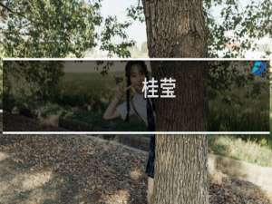 桂莹(关于桂莹的简介)