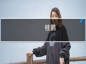 桂鹏(关于桂鹏的简介)