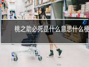 桃之助必死是什么意思什么梗