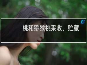 桃和猕猴桃采收、贮藏及保鲜技术规程(关于桃和猕猴桃采收、贮藏及保鲜技术规程的简介)