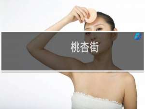 桃杏街(关于桃杏街的简介)
