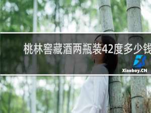桃林窖藏酒两瓶装42度多少钱